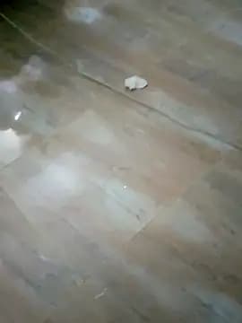 Xxxxxxxyssss live cam