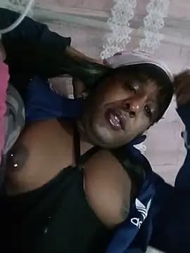 Hellentrans24 live cam
