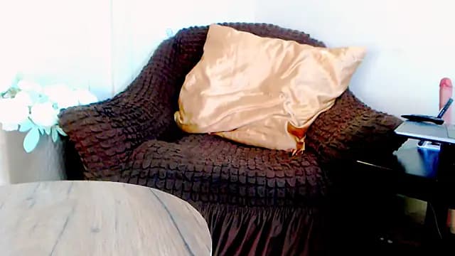 Live_View live cam