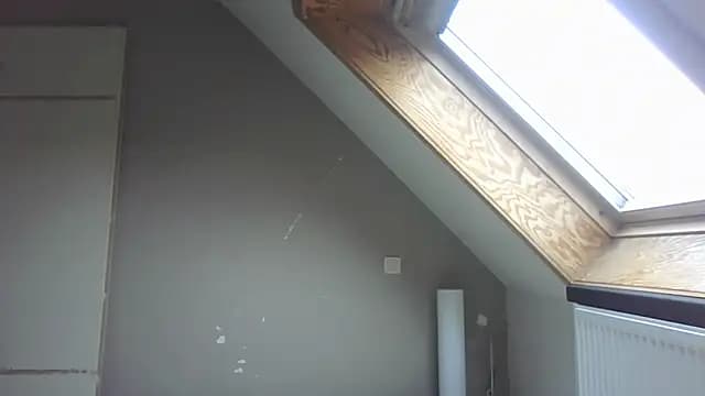 Vekie_007 live cam