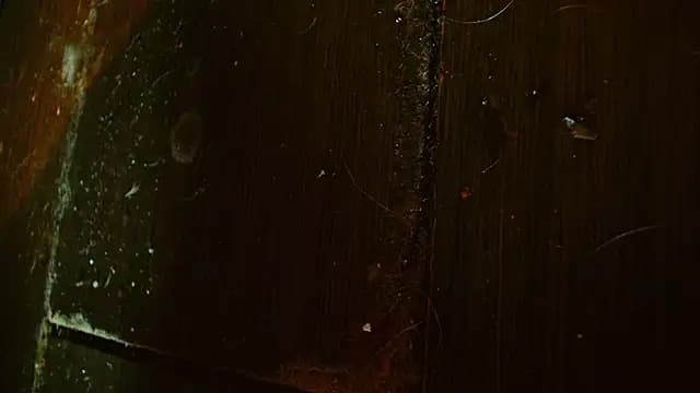 Gigadickman live cam