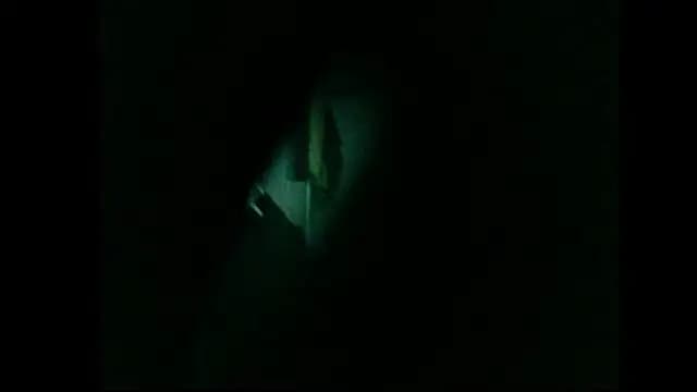 danistrial live cam