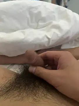 dahai147258 live cam