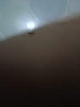 tailua05 live cam