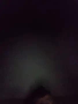 segnini21 live cam
