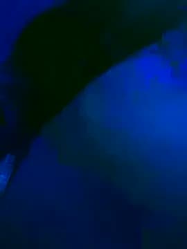 cadenfoxx111 live cam