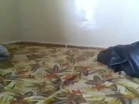 kgomobabe live cam