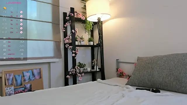 NoirImpulse live cam