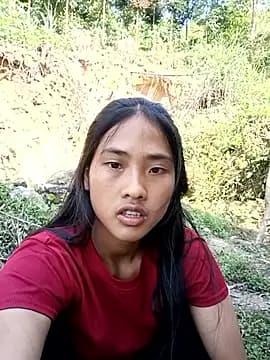 Hoa-tuylip live cam