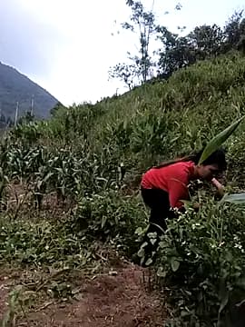 Beola-mi live cam
