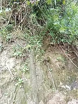 sary-hot2x live cam