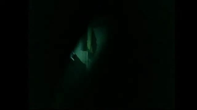 danistrial live cam on Stripchat