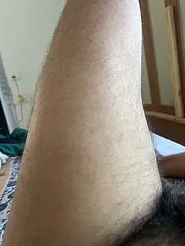 Punerimarathibull live cam