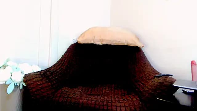 Live_View live cam