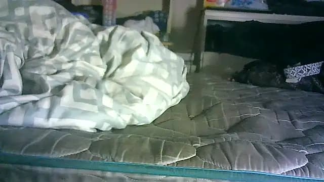 _P3RKY_IMMORTAL3_FIR3_ live cam