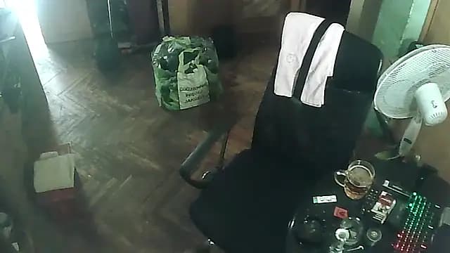 perversalus live cam