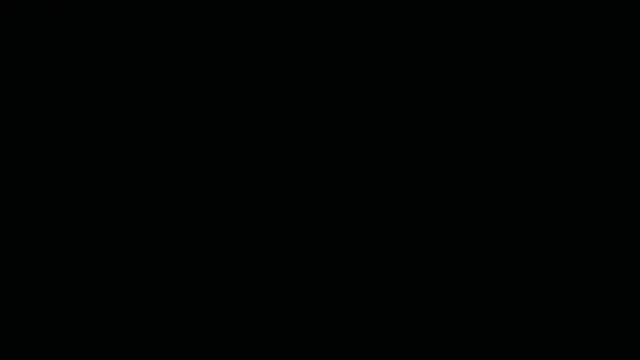 kotkite live cam