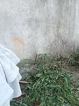 sena_baby live cam