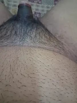 Sissydoggy live cam