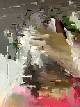 Sexolinaa live cam