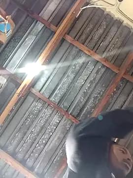 alphamale25 live cam