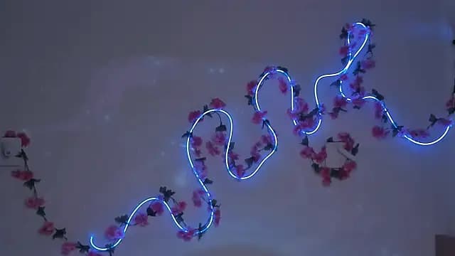 JuliannPaysour live cam