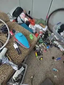 Iamtheshow live cam