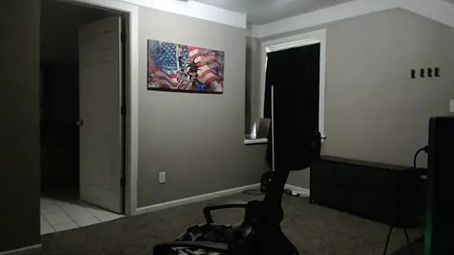 Michigan9000 live cam