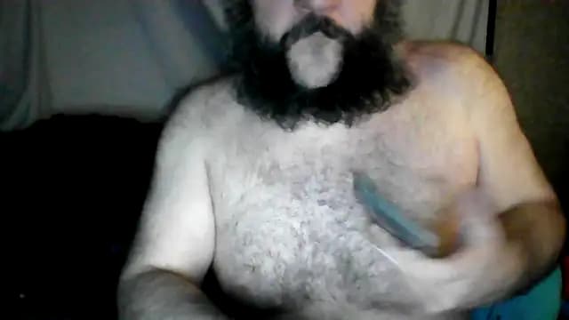 BriTheTopBear live cam