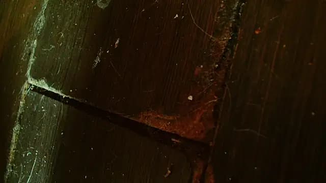Gigadickman live cam