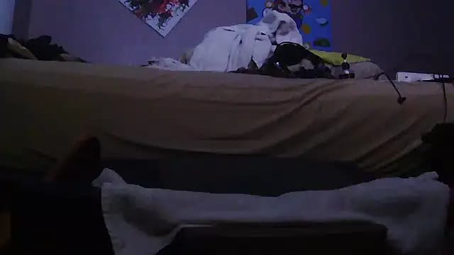 PapaBearGap3dAnal live cam