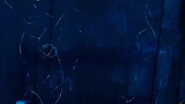 BLUE_AIVEE69 live cam