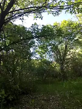 YOOUR_EVAA live cam