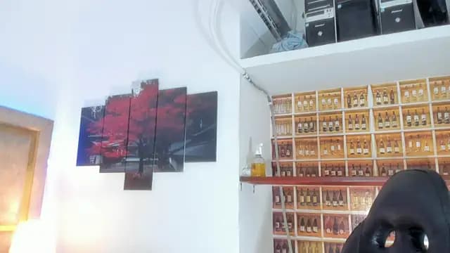 _Shirley_ live cam