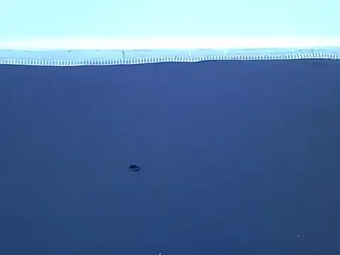 sexy_candi live cam