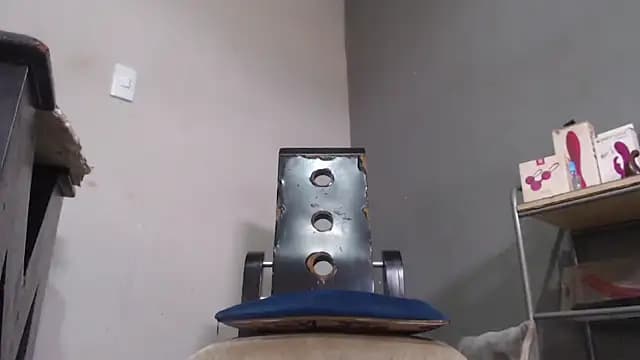 Amazing12inch live cam