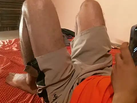 indianbull2023 live cam