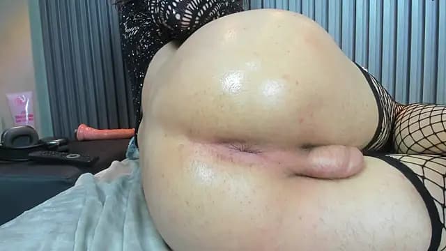 Shammy_rosse live cam