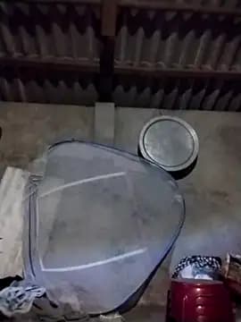 lustfulsister live cam