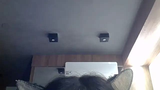 SkinnyKitten live cam