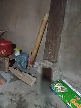 linhbaby01 live cam