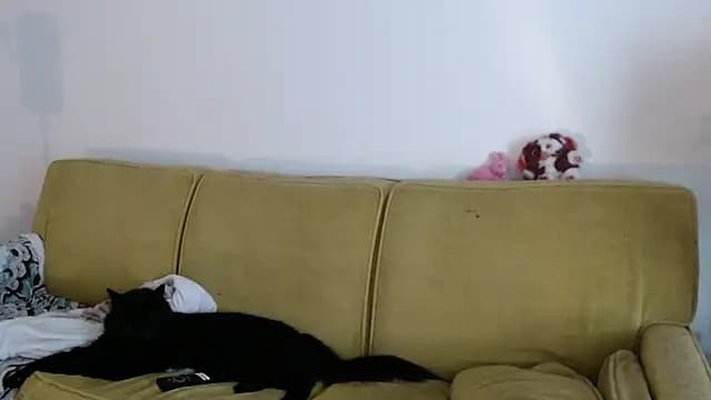 DeliaBlew live cam