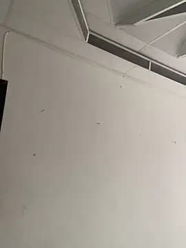 bear_mao_ live cam