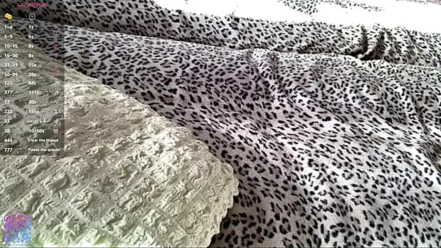 Emmibrilson live cam