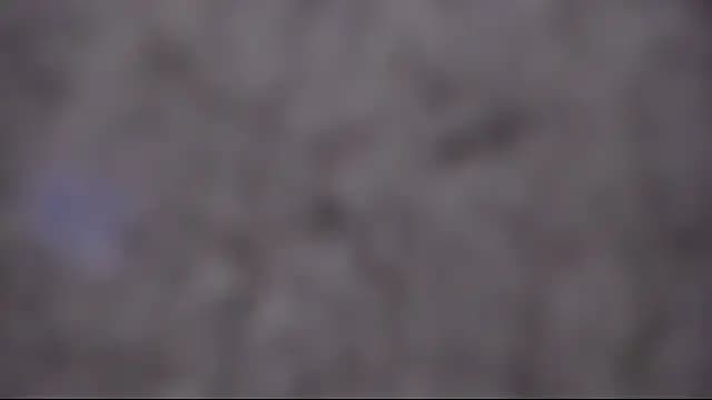 shanty_cole live cam
