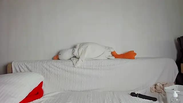 May_Flower live cam