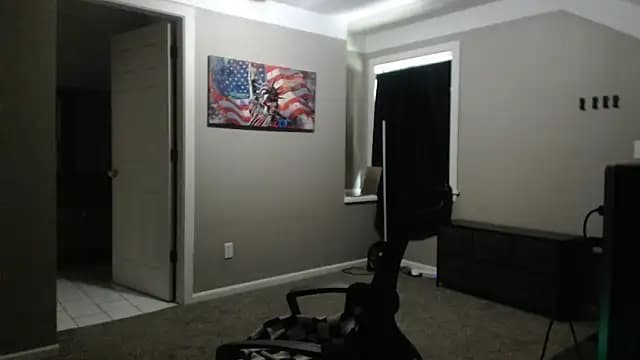 Michigan9000 live cam