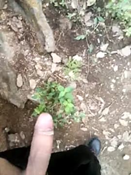 sexygosht live cam