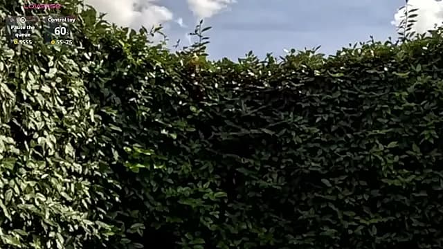 ApollonFit_x live cam