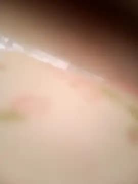abdealrh live cam